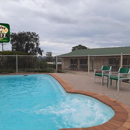 Country Rose Motel Warwick Exterior photo